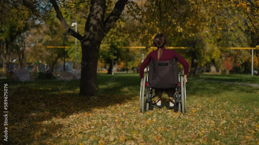 Young female with spinal cord injury rests in park sitting in wheelchair under tree. Lady looks at falling leaf enjoying nature backside view Young female with spinal cord injury rests in park sitting in wheelchair under tree. Lady looks at falling leaf enjoying nature backside view