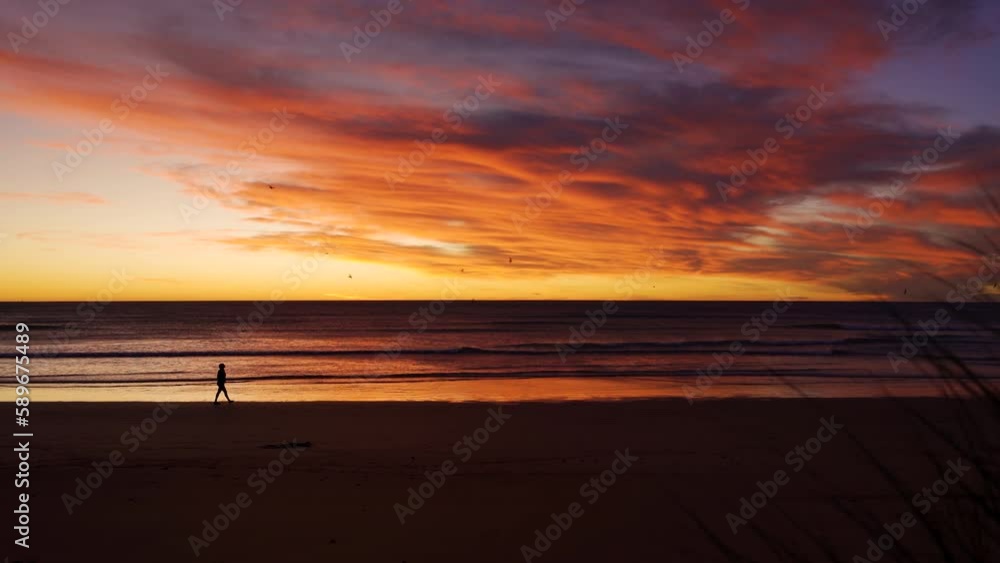 Woman walking by the beach during amazing sunset and gulls flying around. New Zealand, Katiki beach Woman walking by the beach during amazing sunset and gulls flying around. New Zealand, Katiki beach