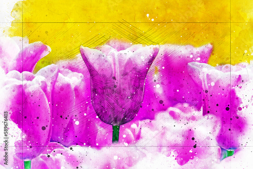 Tulip photos from Istanbul Emirgan grove. Watercolor artistic work.