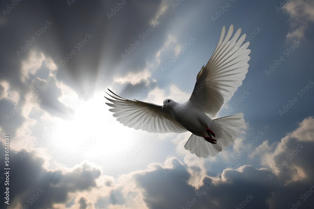 Obraz premium A white dove flying towards the light in a cloudy sky