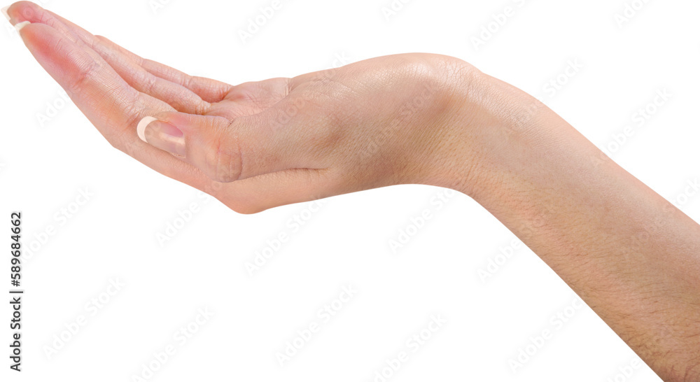 Cupped hands of a person on a white background
