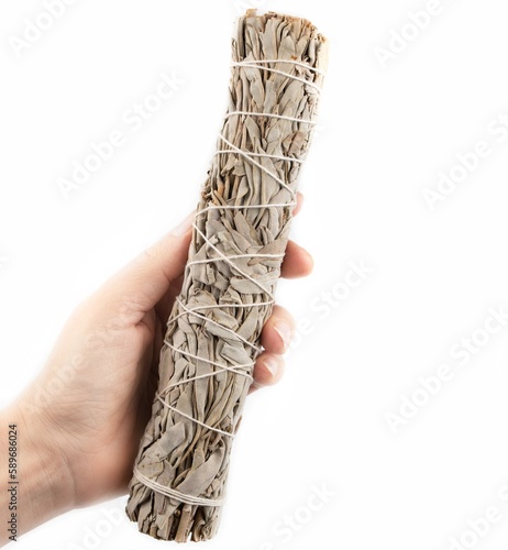 Closeup of Californian White sage stick in woman's hand isolated on white background photo