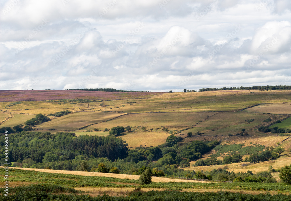 North Yorkshire moors National Park