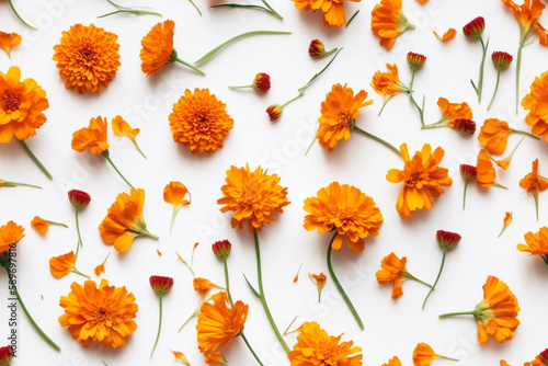 A playful and colorful flat lay featuring an assortment of orange marigold flowers arranged on a crisp white background. Perfect for holiday decorations or cheerful home decor. Generative AI
