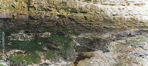 rock formation on Flamborough Head, East Yorkshire, England. High quality photo