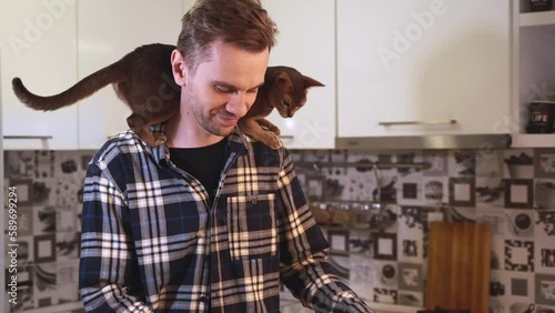 Cute blue abyssinian cat eats green beans sitting on the shoulders of a young man on a home kithen background. Cat and fresh raw vegetables. Healthy nutrition and pets diet. Vegetarian owner's pet. photo