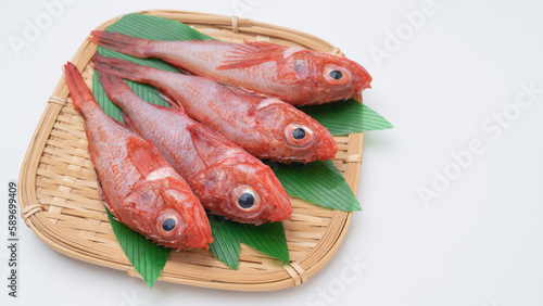 新鮮な魚｜キチジ(キンキ)