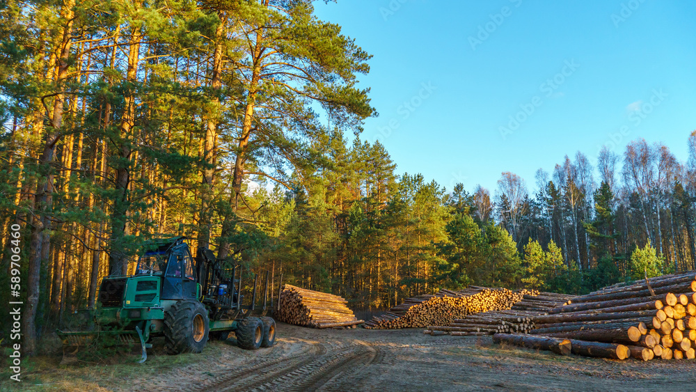 Logging equipment in the forest, loading logs for transportation. Harvesting and storage of wood in the forest. Transportation of freshly cut logs for the forest industry. Logging equipment in the forest, loading logs for transportation. Harvesting and storage of wood in the forest. Transportation of freshly cut logs for the forest industry.