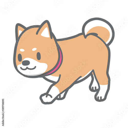 お散歩中の柴犬のベクターイラスト