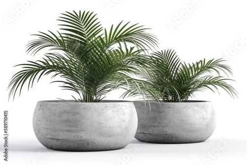 two modern cement planters in a minimalist outdoor setting. Generative AI