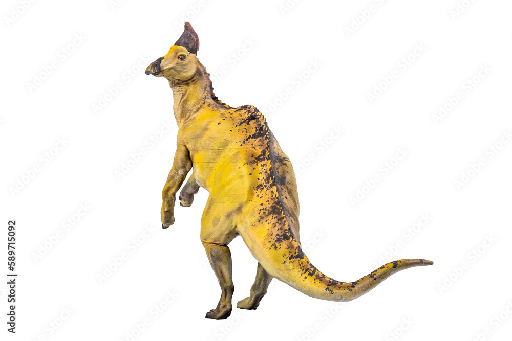 dinosaur , Olorotitan isolated background dinosaur , Olorotitan isolated background