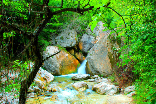 Close-up of a ravine with the Ambro river streaming down in ethereal white tones circumscribed by massive silvery grey rocks with a bit of musk, rich and thrifty vegetation and a bare tree in front photo