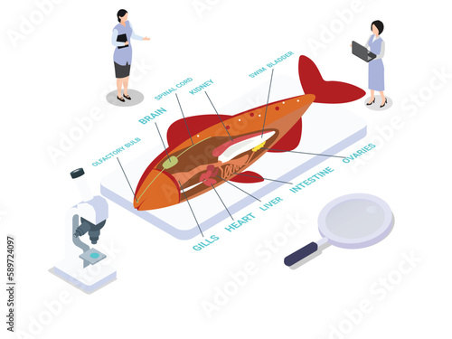 Fish anatomy illustration with scientist and microscope