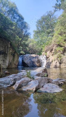 river in the forest