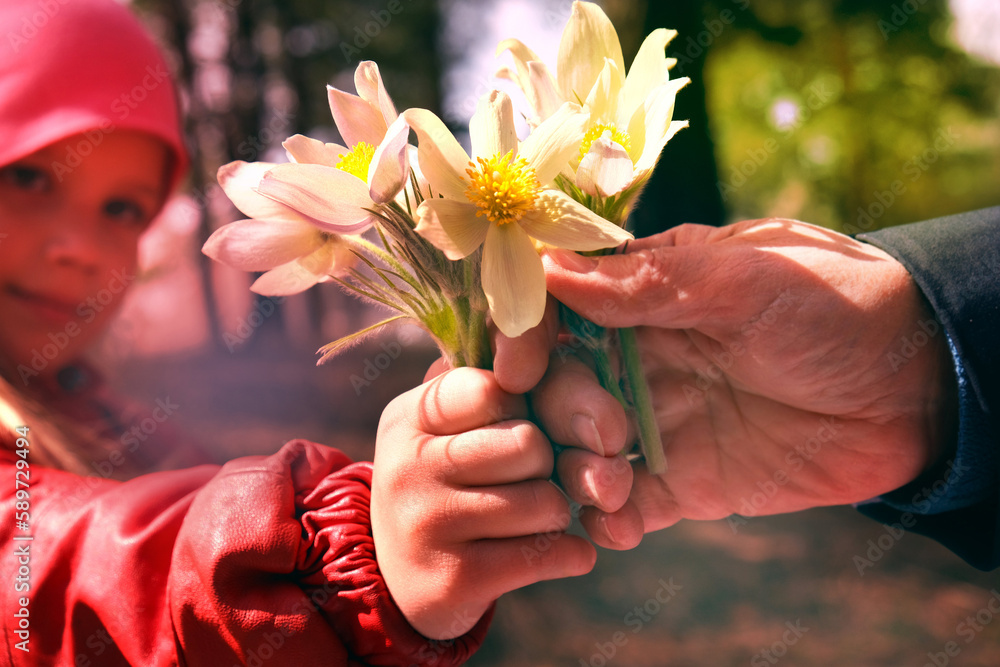 Grandparent and grandchild hands holding bouquet of wildflowers, close up, love and togetherness  concept