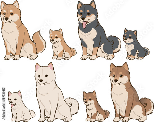 色々な毛色の柴犬親子