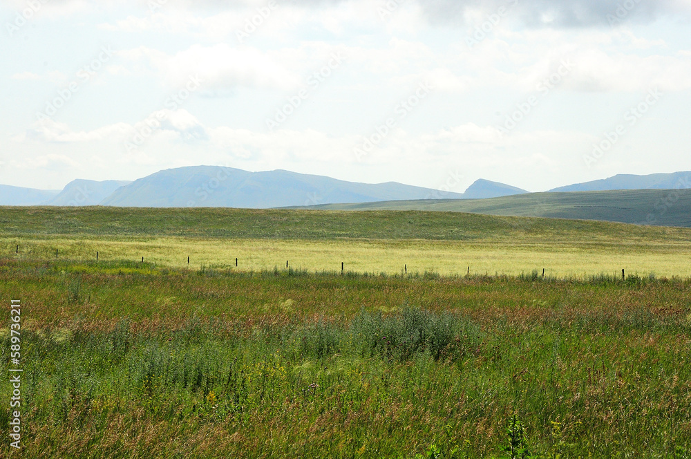 A vast steppe with tall grass at the foot of a high mountain range under a cloudy summer sky.