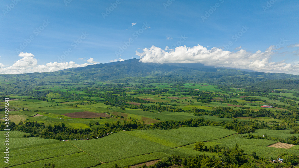 Sugarcane plantations and agricultural land in the countryside. Negros, Philippines
