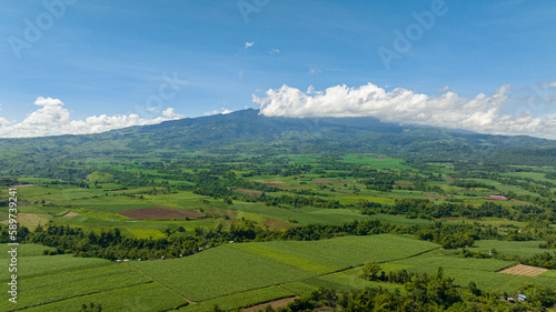 Sugarcane plantations and agricultural land in the countryside. Negros, Philippines