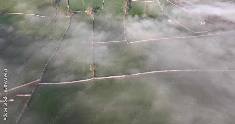 Aerial shot of mist covered green pastures Aerial shot of mist covered green pastures