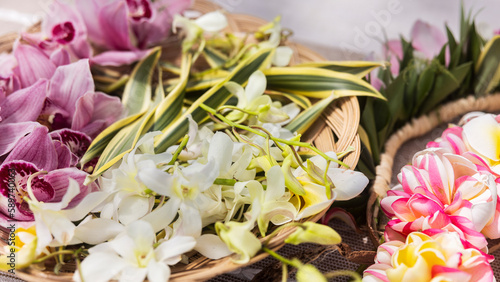 Woman making Hawaiian Lei and Hahu. Process of Handmade flower crown made from Hawaii flower Plumeria.