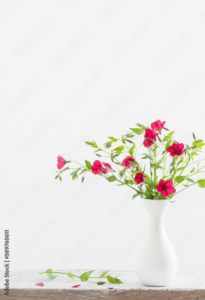 Fototapeta premium summer flowers in white vase