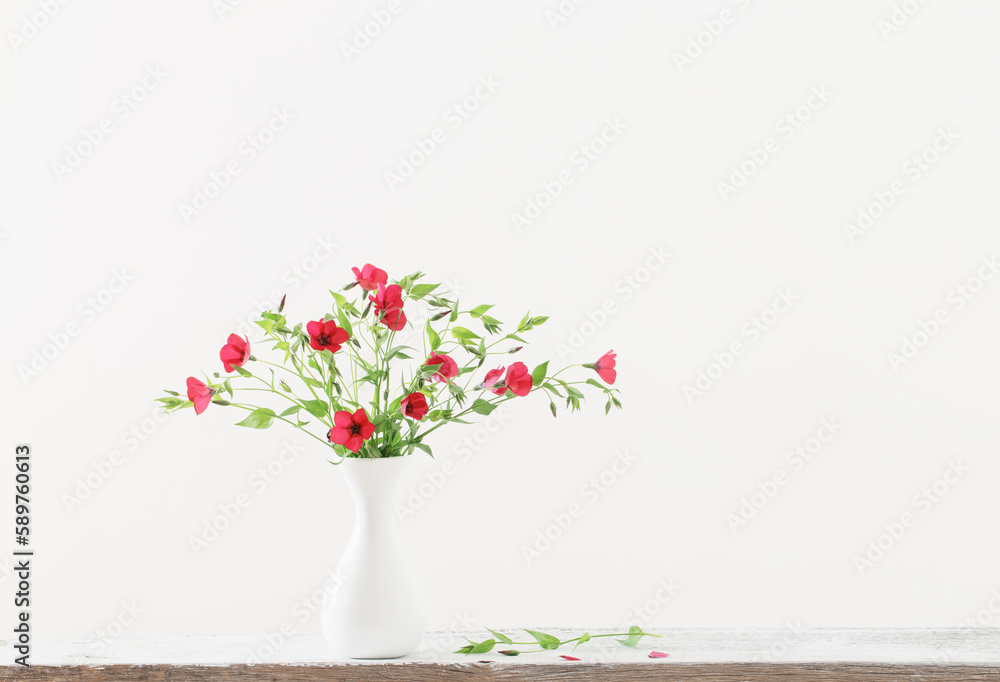 Fototapeta premium summer flowers in white vase