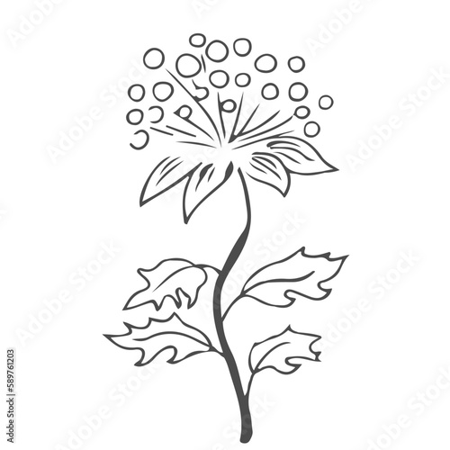 Doodle hand drawn leaves, foliage, cute elegant aesthetic plant isolated on white background. Border, design element, sketchy drawing