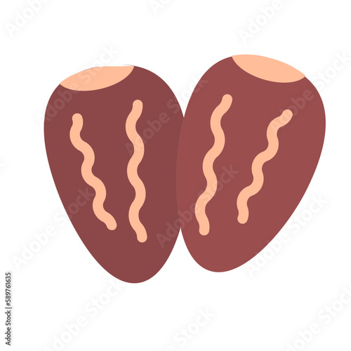 dates fruit Icon