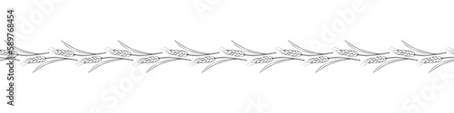 Vector edging, ribbon, border from outline wheat spikelets ears in doodle style. Autumn ornament, seamless pattern, decorative element on theme of bakery products, flour, harvest, Thanksgiving