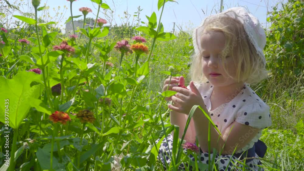 little girl sitting near flowers in summer,girl in nature in summer with flowers little girl sitting near flowers in summer,girl in nature in summer with flowers