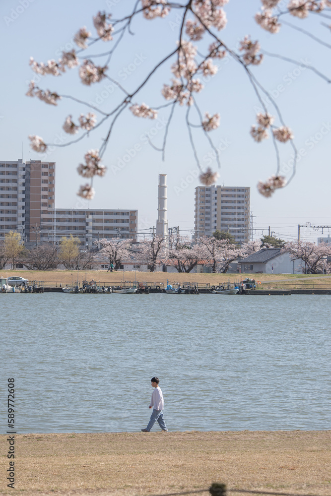 Fototapeta premium 新潟市の風景