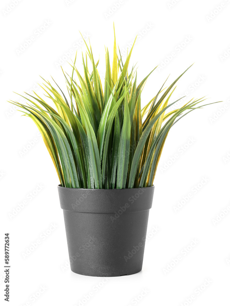 Artificial green grass on white background Artificial green grass on white background
