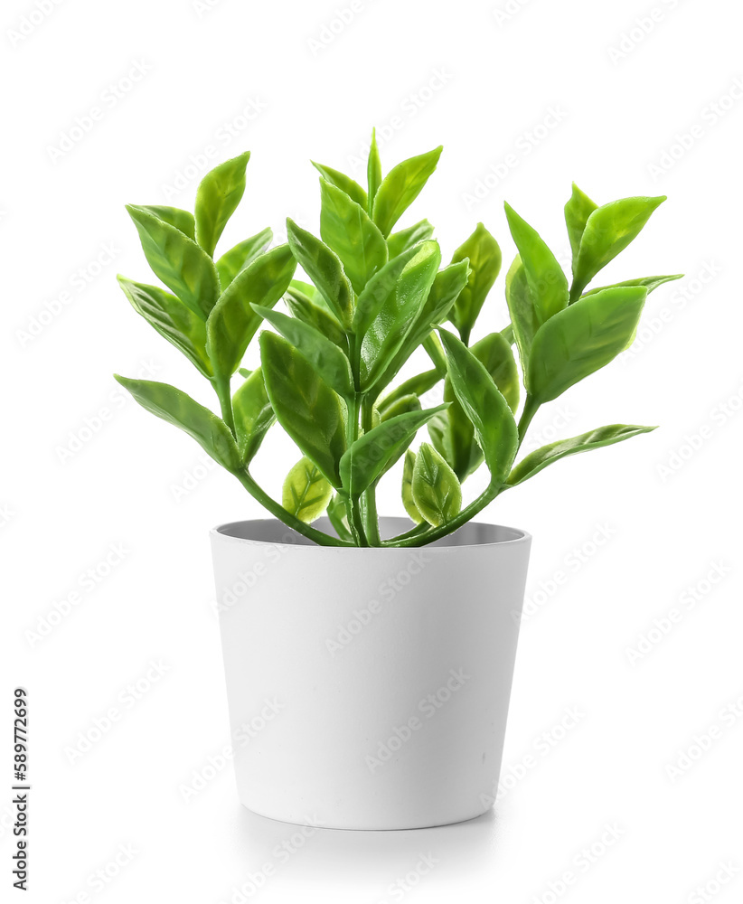 Artificial plant on white background