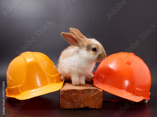 builder's day, symbol of the year easter rabbit on a building brick tile on a black background