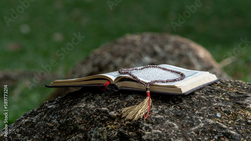 Quadro su tela Holy book of Quran on the tree roots in the park