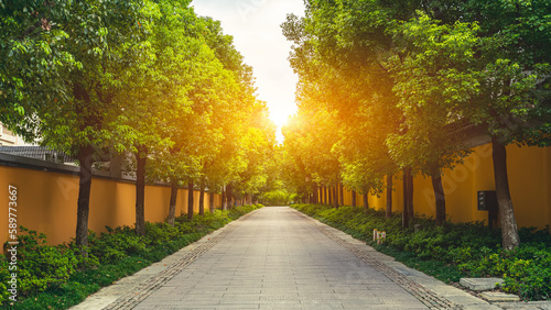 The yellow wall of the temple