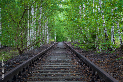 an old abandoned railroad track leading into a lush green forest with birch trees