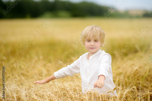 Portrait of cute preschooler boy on gold wheat autumn field. Child wearing white shirt walk in grain-field.