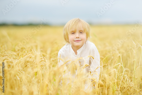 Portrait of cute preschooler boy on gold wheat autumn field. Child wearing white shirt walk in grain-field.