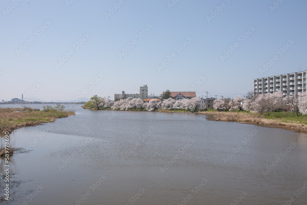 新潟市の風景 新潟市の風景