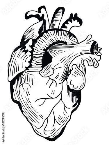 Our captivating black and white heart illustration is a timeless symbol of love and passion. This stunning design captures the essence of the human heart in a beautifully simple yet powerful way.