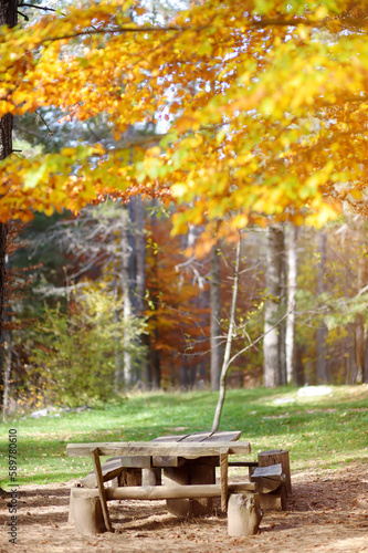 Wooden picnic table in park or woodland on sunny autumn day. Activity on nature for family with children. Ecologycal equipment of entertainment park