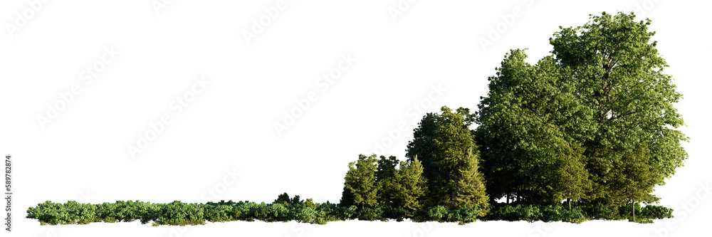 cute small grove landscape, isolated with empty space on transparent background banner