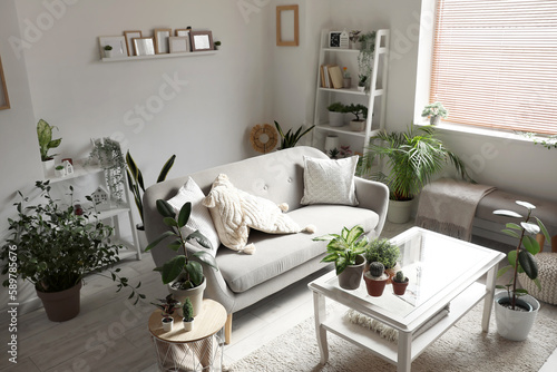 Interior of living room wit...