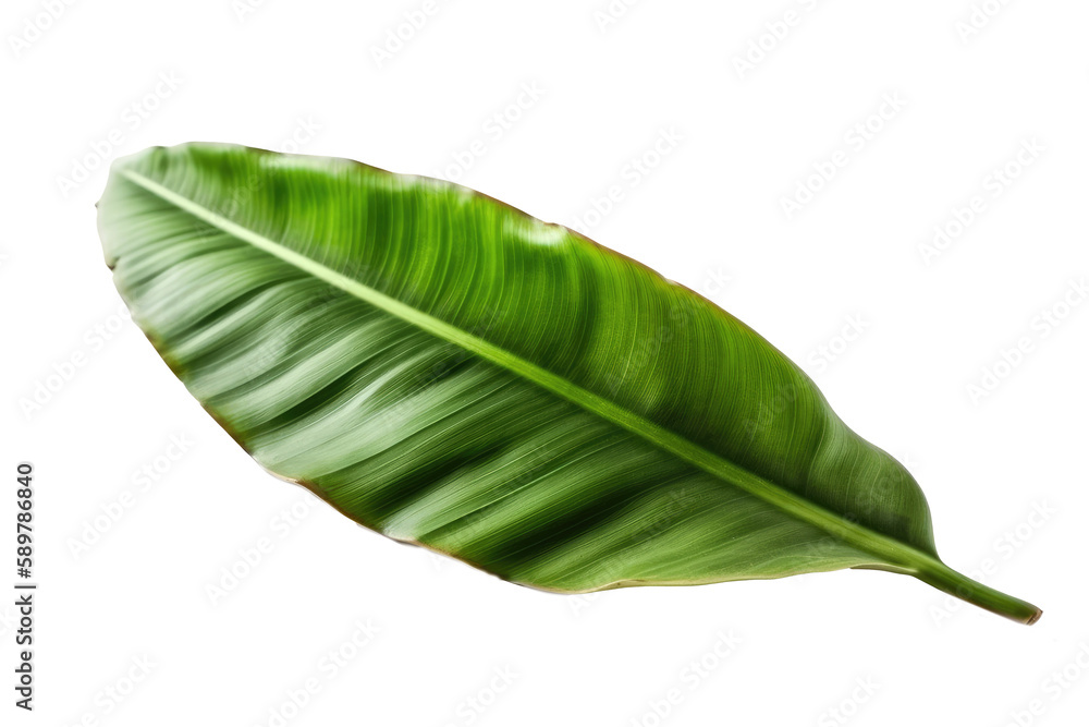 Obraz premium Banana Leaf On White Background. Isolated Transparent, Png. Generative AI