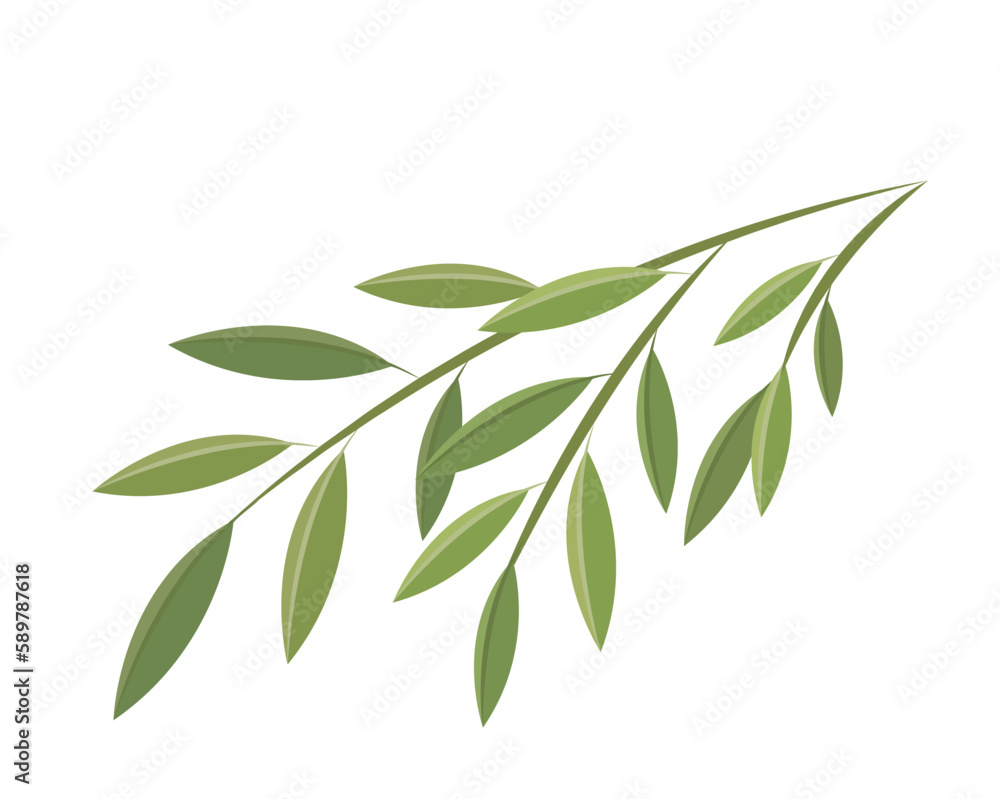 Obraz premium Vector icon or illustration of bamboo leaves, plant for dragon boat festival