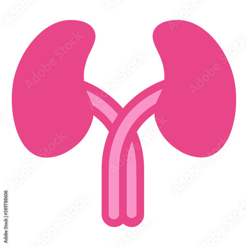 kidneys