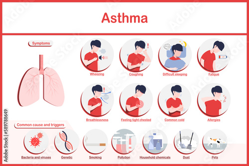 Vector illustrations infographic,symptoms of asthma.fatigue,wheezing,coughing,chest pain,common cold,breathlessness and difficult sleeping and the most common causes of asthma.flat style.
