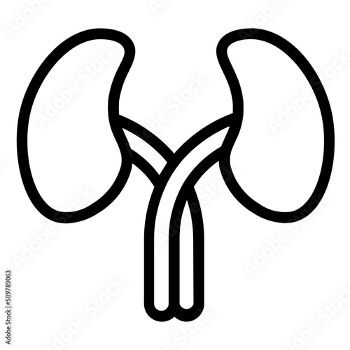 kidneys